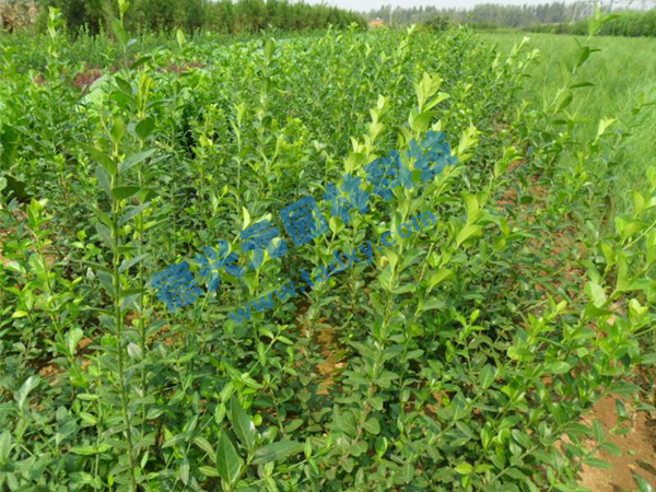 �c���鿴Ԕ����Ϣ���}�����~������ ��x�Δ�(sh��)��2766