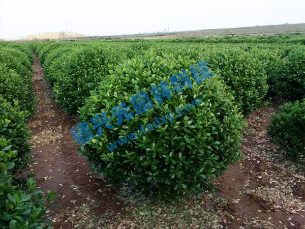 �c���鿴Ԕ����Ϣ���}�����~�S���� ��x�Δ�(sh��)��2546