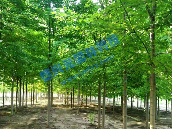 �c���鿴Ԕ����Ϣ���}�������t�� ��x�Δ���2045